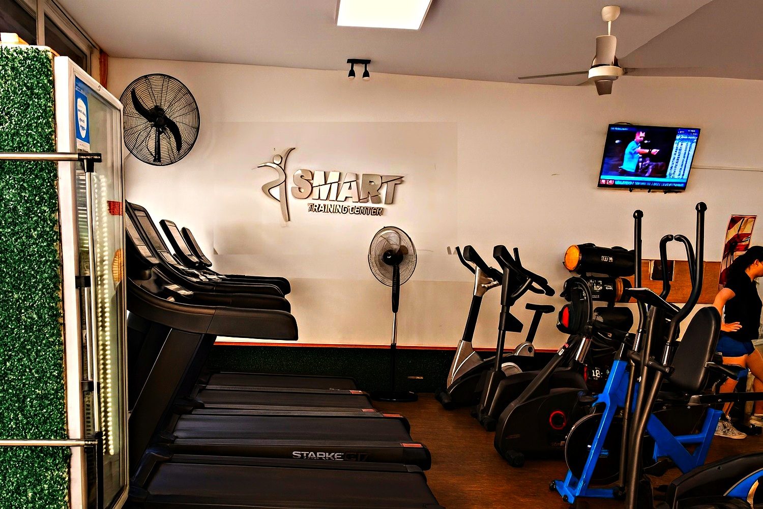 Sector de cardio con cintas y bicicletas junto a la pared verde